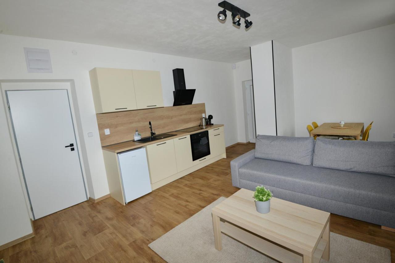 Apartmany U Peslu Železná Ruda Exterior foto