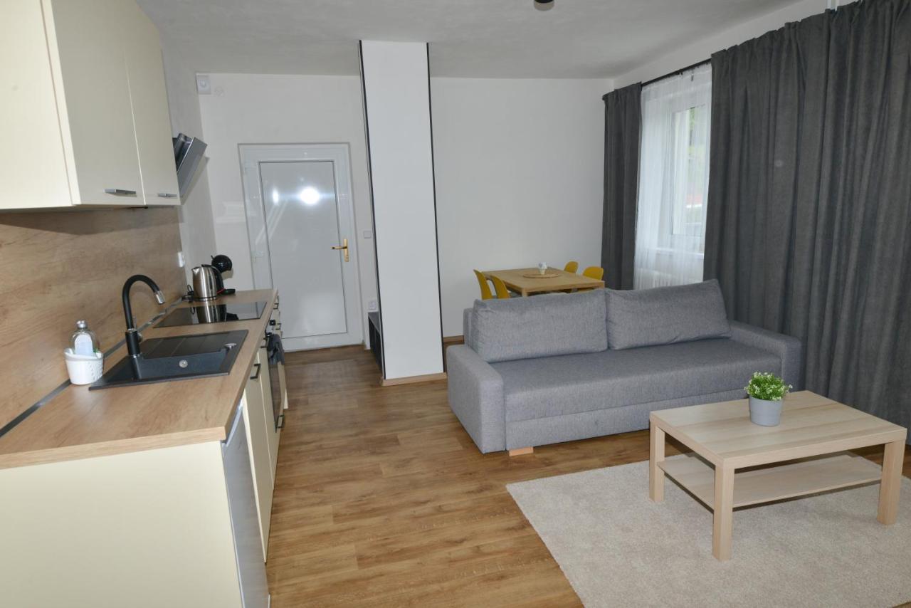 Apartmany U Peslu Železná Ruda Exterior foto